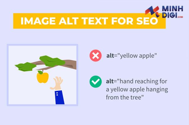 alt-text-phai-lien-quan