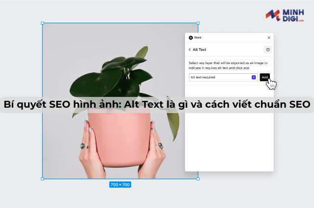 ava-alt-text-la-gi-thumb