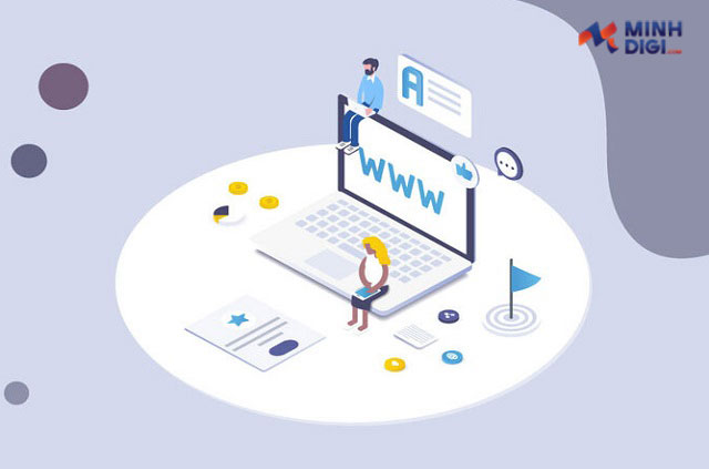 vai-tro-cua-domain-trong-seo-onpage