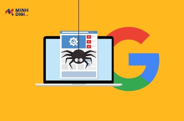 cach-crawl-website